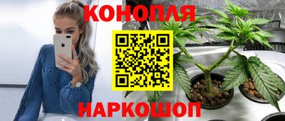 индика Балашиха